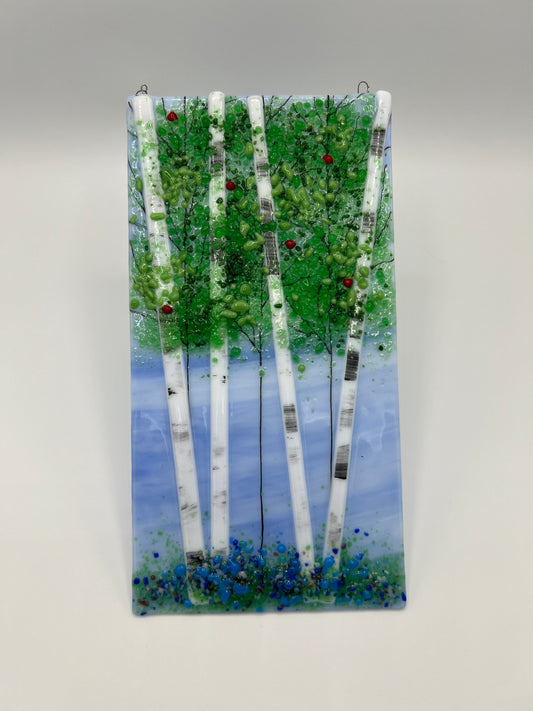 Summer Birch Trees